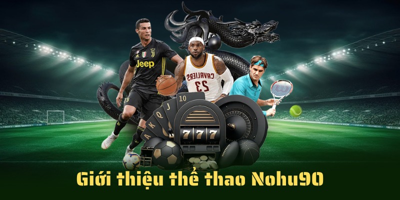 Đôi nét tổng quan về sân chơi thể thao nohu90